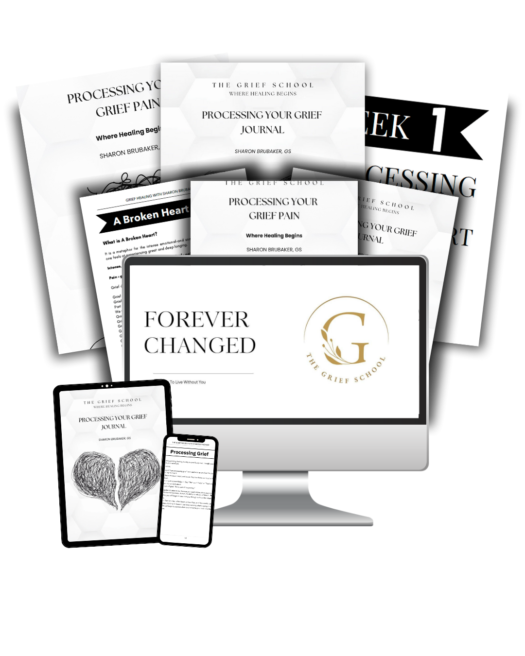 Website Courses (2)